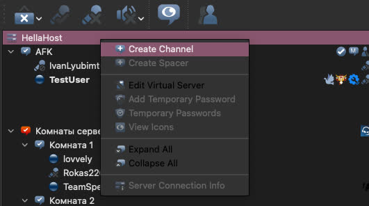 Контекстное меню подключения к серверу TeamSpeak